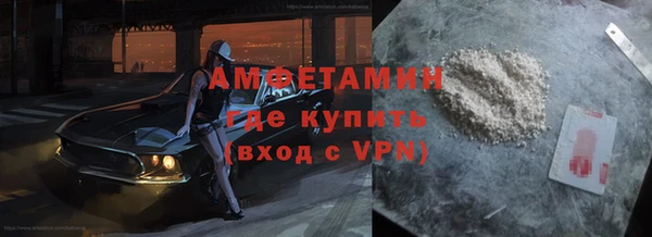 шишки Осташков