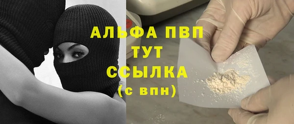 шишки Осташков