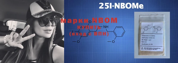 шишки Осташков