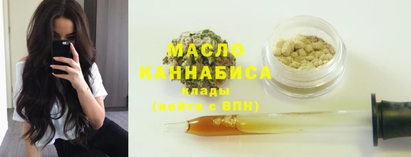 шишки Осташков