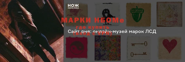 шишки Осташков