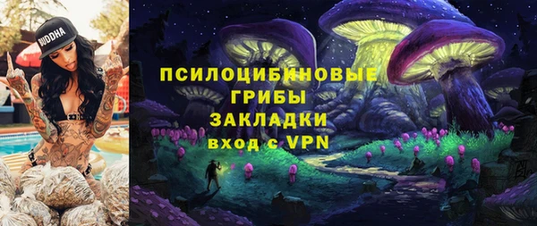 шишки Осташков