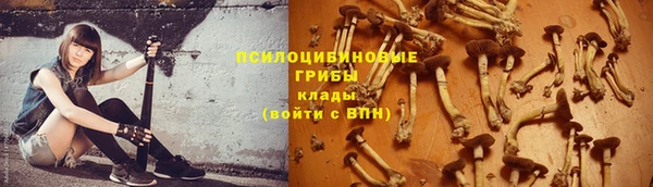 шишки Осташков