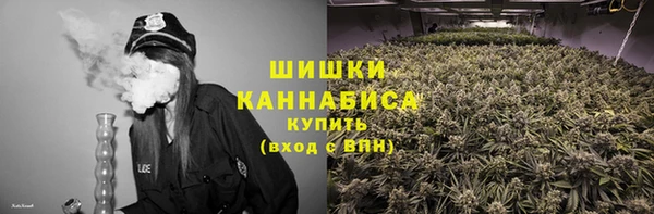 шишки Осташков