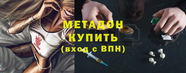 шишки Осташков
