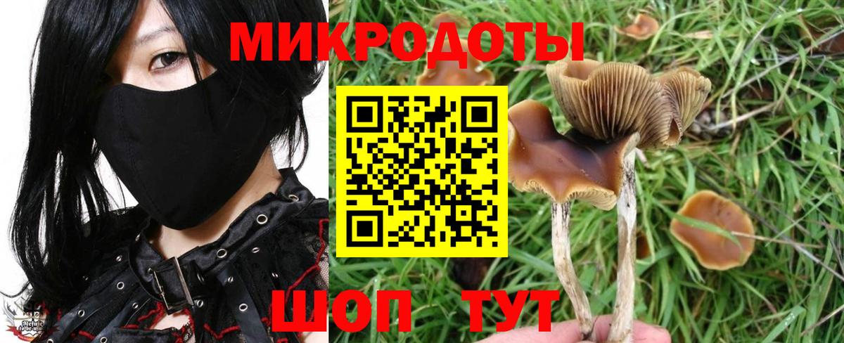 Псилоцибиновые грибы прущие грибы  наркота  Богородск  Вход с VPN 