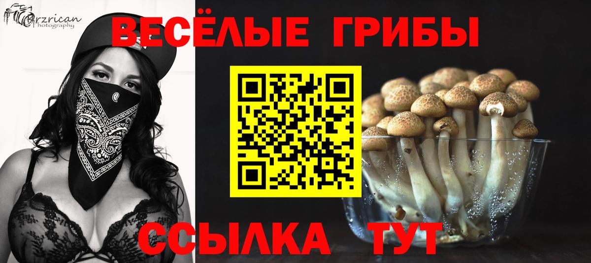 Галлюциногенные грибы Psilocybine cubensis  Богородск 